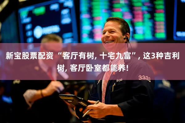 新宝股票配资 “客厅有树, 十宅九富”, 这3种吉利树, 客厅卧室都能养!