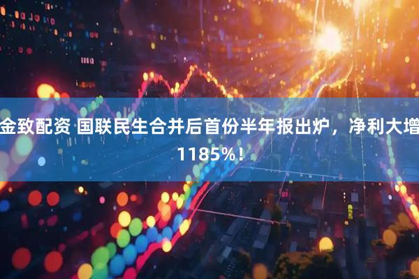 金致配资 国联民生合并后首份半年报出炉，净利大增1185%！